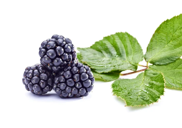 Bramble fruit healthy food — Stock Photo, Image