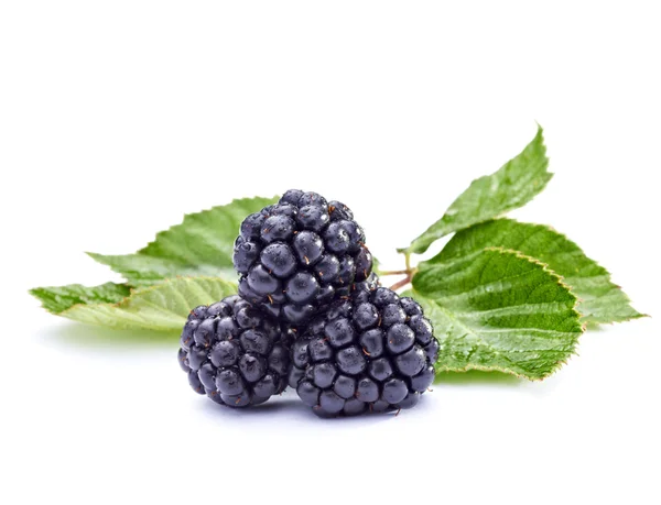 Bramble fruit healthy food — Stock Photo, Image