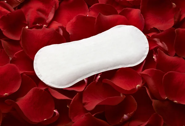 Nő higiéniai védelem menstruáció időszak egészségügyi ellátás — Stock Fotó