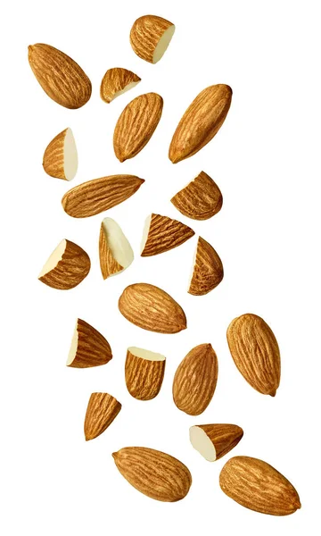 Almond nut food healthy organic natural ingredient snack isolated seed brown fruit closeup nutrition group — Stock Photo, Image