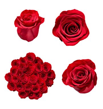 çiçek yaprağı çiçek arkaplanı