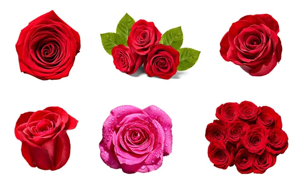 Flower rose petal blosspm background — Φωτογραφία Αρχείου