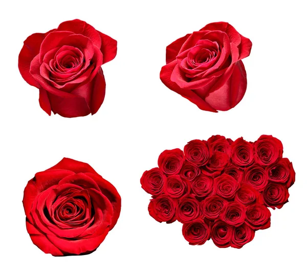 çiçek yaprağı çiçek arkaplanı