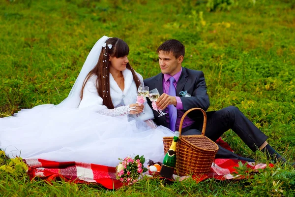 Bride and groom at wedding in green field sitting on picnic, dri — Stock Photo, Image