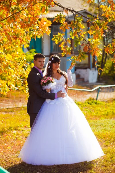 Bride and groom newlyweds standing next to tree in autumn with y — Stock Photo, Image