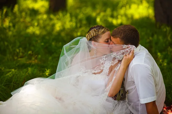 Krásná nevěsta ženich novomanželé stojí v zeleném lese v su — Stock fotografie