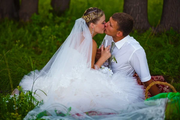 Novia y novio en la boda en el bosque verde sentado en el picnic, dr — Foto de Stock
