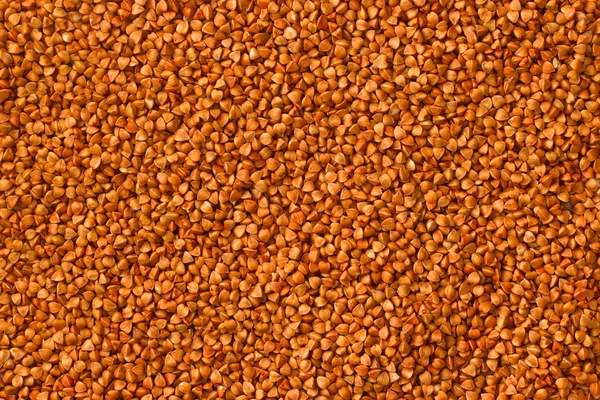 Buckwheat background texture — Stock Photo, Image