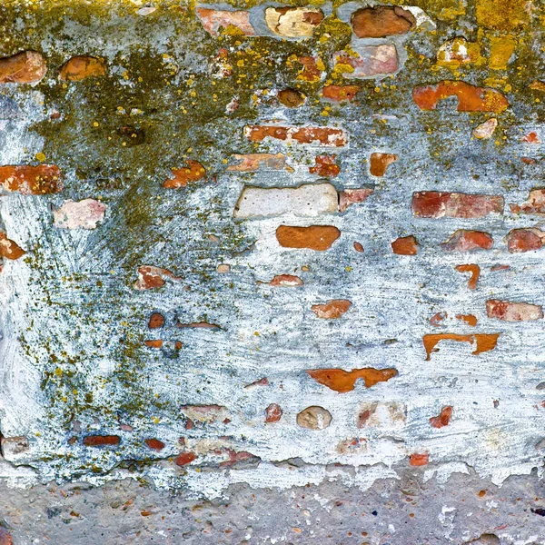 Textura parede de tijolo com molde — Fotografia de Stock