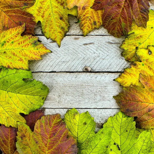 Herbstliche Textur aus Blättern und Holz — Stockfoto