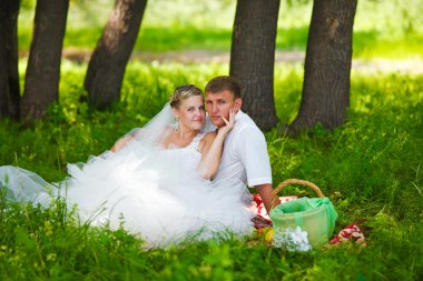 bir orman glade, brid piknik bir düğün yeni evli çifte