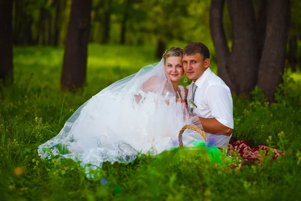 Hermosa pareja en boda recién casados un picnic en un claro bosque —  Fotos de Stock