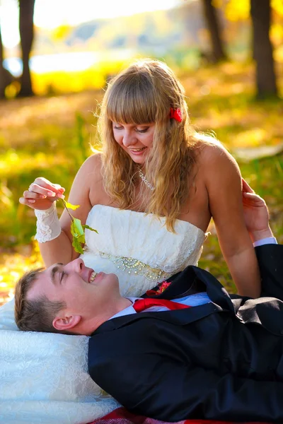 Novia y novio están en el bosque amarillo de otoño en un settin romántico — Foto de Stock