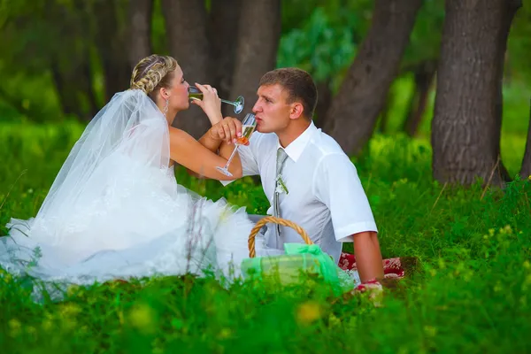 Picn 上に座っている緑の森での結婚式で新郎新婦 — ストック写真