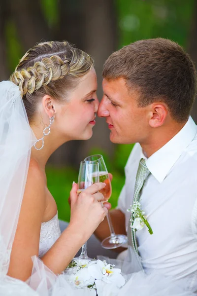 Novia y novio en pareja de boda sosteniendo vaso de tocar y —  Fotos de Stock