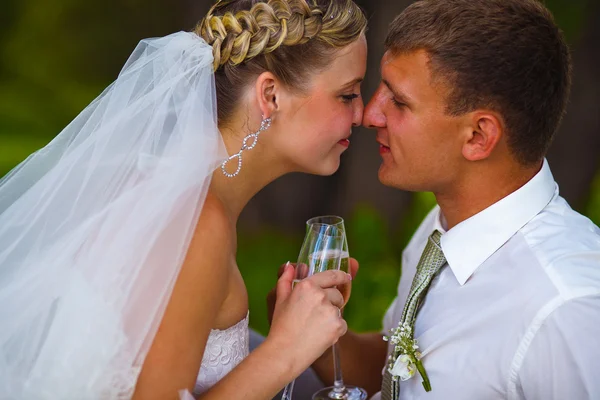 Novia y novio en pareja de boda sosteniendo vaso de tocar y —  Fotos de Stock