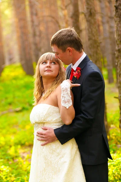 Braut und Bräutigam stehen im Herbst in einem Kiefernwald, das frisch vermählte Paar — Stockfoto