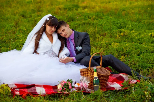 Bride and groom wedding in green field sitting on picnic, drink — Stock Photo, Image