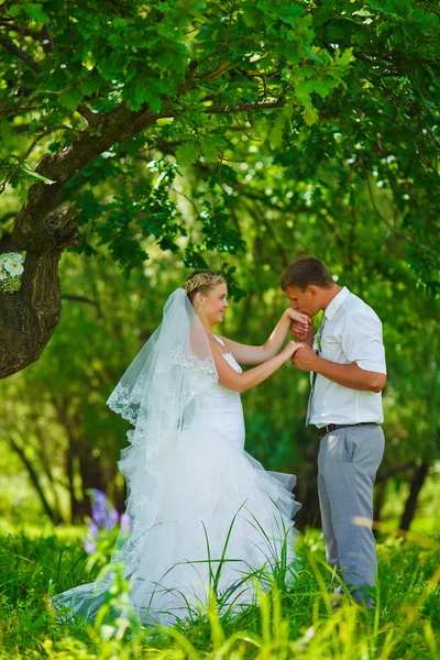Наречений наречений цілує руку блондинки нареченої, молодята пара є — стокове фото