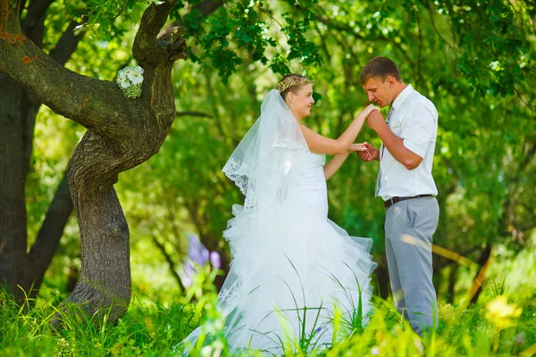 Bride groom kissing hand of blonde bride, newlyweds couple are i — Stock Photo, Image