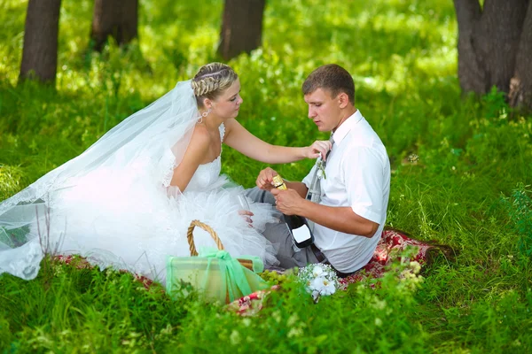 Pár na svatbě piknik v lesním palouku, nevěsta ženich květina c — Stock fotografie