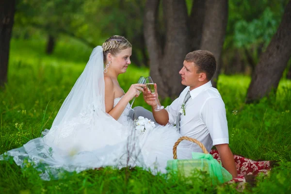 Pareja en la boda los recién casados un picnic en un bosque clearin — Foto de Stock