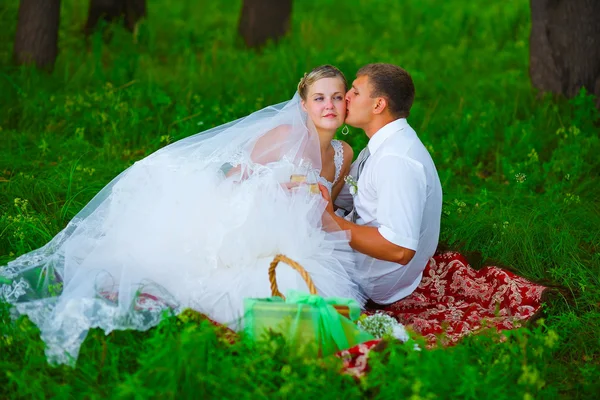 Casal no casamento recém-casados um piquenique em uma clareira florestal, gr noiva — Fotografia de Stock