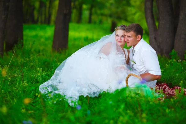 Couple au mariage jeunes mariés un pique-nique dans la clairière de la forêt, mariée groo — Photo