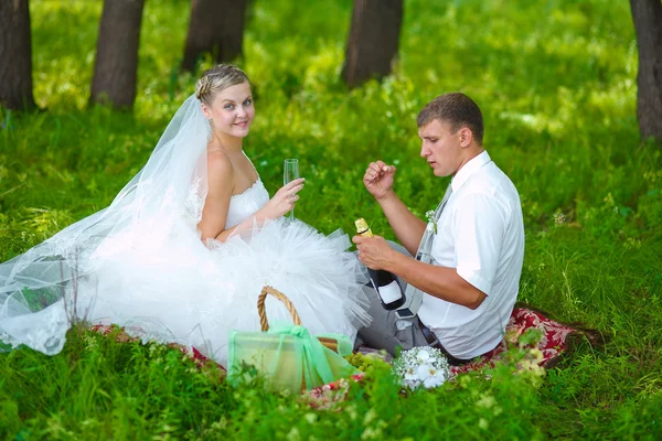 Coppia a nozze sposi sposi sposa e sposo un picnic in una foresta — Foto Stock