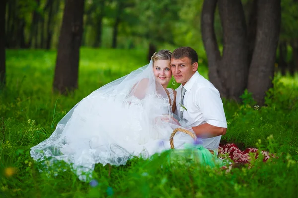 Pár na svatební novomanželům piknik na lesní mýtině, nevěsta g — Stock fotografie