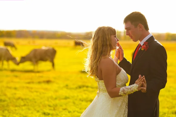 Couple bride and groom at a wedding in the autumn are in the yel — Stock Photo, Image