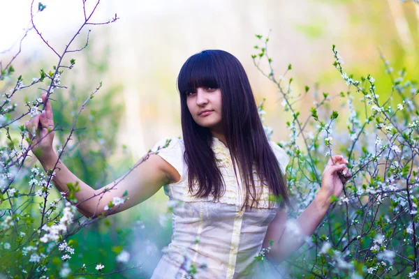 Girl spring holding a branch of the cherry blossoms — Stock Photo, Image