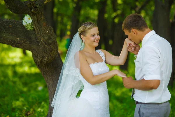 Bruidegom kussen hand van bruid, pasgetrouwden paar zijn in een groen voor — Stockfoto