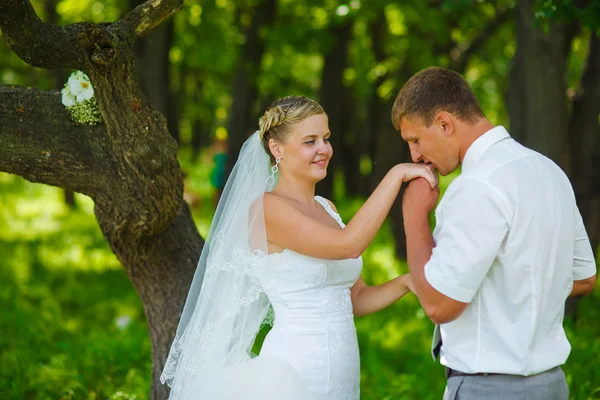 Жених целует руку невесты, молодожены пара в зеленых форелях — стоковое фото