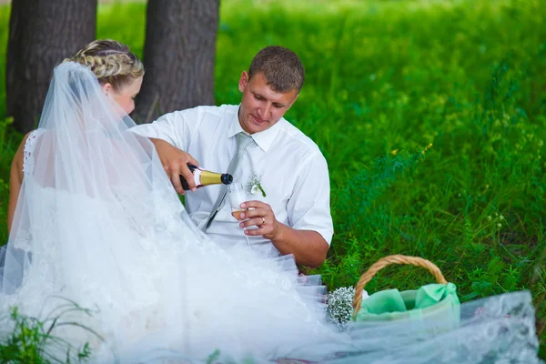 Groom pours wine into a glass at a wedding at a picnic in a gree — Stock Photo, Image