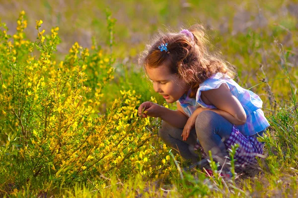 Little baby girl is studying touching look at yellow flower(Cham — Stock Photo, Image