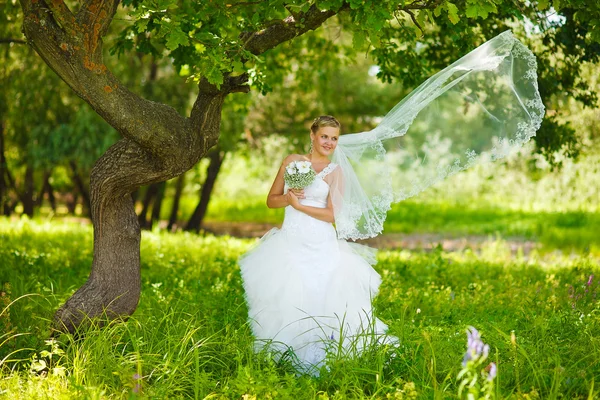 Mulher solitária em um vestido branco em um casamento a noiva é árvore em — Fotografia de Stock