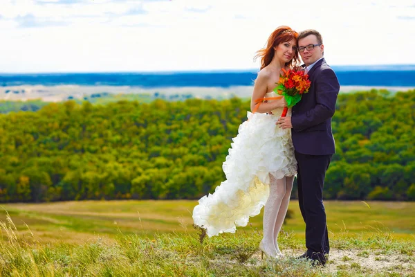 Sposi sono su un matrimonio di alta montagna, gli sposi, b — Foto Stock