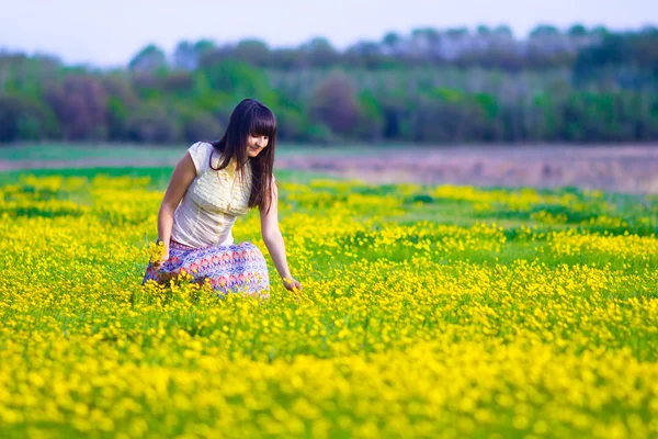 女人收集在一个字段中的黄色小花在春天 — 图库照片