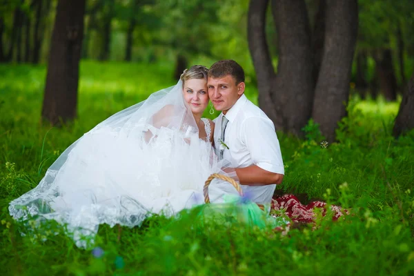 Casal no casamento os recém-casados um piquenique em uma clareira florestal , — Fotografia de Stock