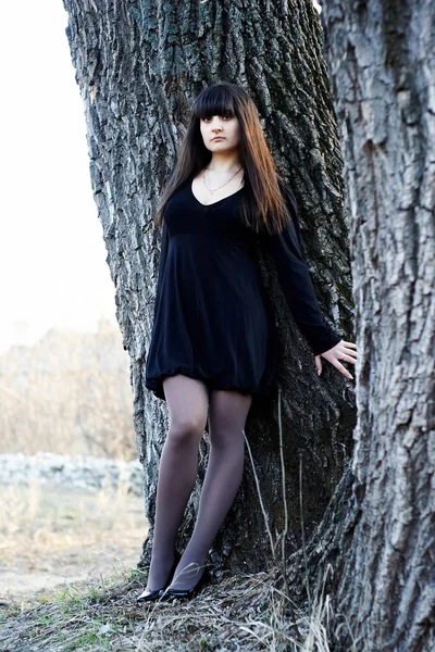 Czarownica kobieta stoi w duże drzewo — Zdjęcie stockowe