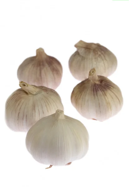 Knoblauch isoliert auf weißem Hintergrund — Stockfoto