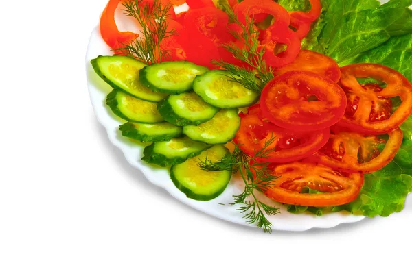 Salad cucumber and tomato salad appetizer with slices of fennel — Stock Photo, Image