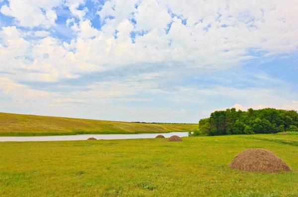 Fältet landskap med flod och hö — Stockfoto