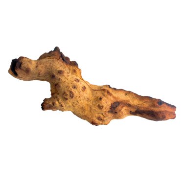 ağaç parça eski beyaz (kırpma yolunu izole)