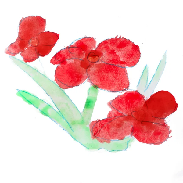Soyut kırmızı çiçek suluboya resimler el izole — Stok fotoğraf