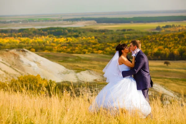 Sposa e sposo all'aperto in piedi in un abbraccio campo giallo, appena sposati — Foto Stock