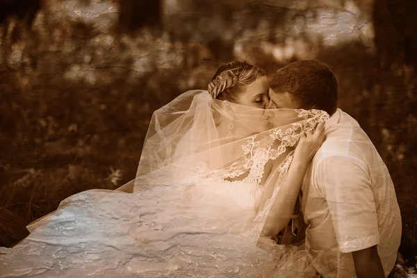 Retro foto in bianco e nero di seppia bella sposa sposo di recente — Foto Stock