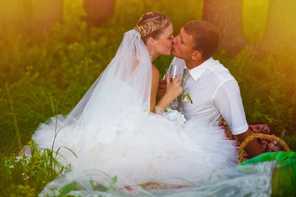 Sunlight bride and groom at wedding in green forest sitting on p — Stock Photo, Image