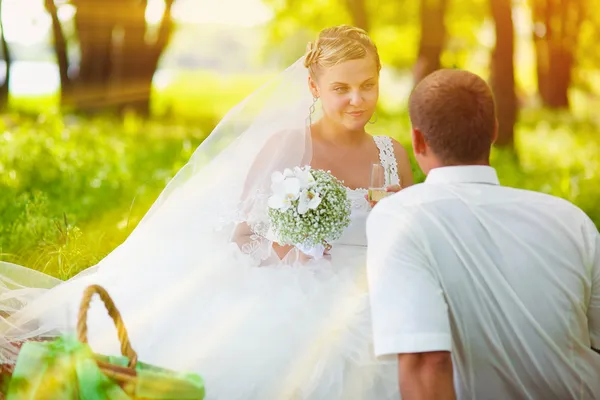 Luz do sol Noiva olhando para noivo recém-casados casal de casamento em um gr — Fotografia de Stock